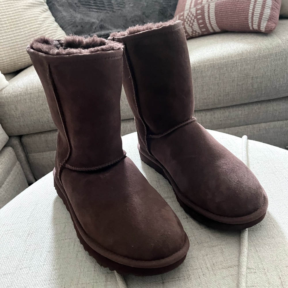 Classic Ugg short boots in burnt cedar